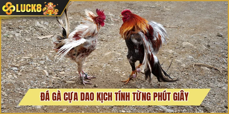Loại hình thi đấu đẳng cấp từng phút giây